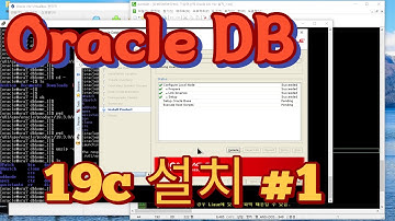 리눅스 가상머신에 Oracle DB 19c 설치 #1