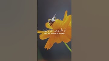 وأوحى ربك إلى النحل | قرآن كريم | القارئ عبدالباسط🥀🍃🤍