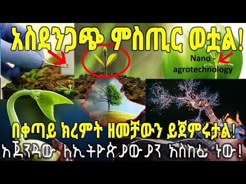 ቪዲዮ: እውነተኛ ፋሽን። ክረምት ይቀጥላል