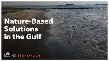 Nature-Based Solutions in Gulf Communities