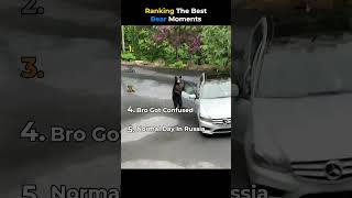 Ranking The Best Bear Moments