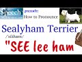 How to Pronounce Sealyham Terrier