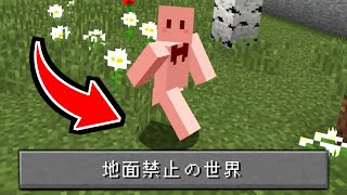 地面を歩いたら死ぬ世界からの脱出【マインクラフト】