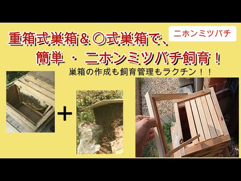 【趣味の養蜂】日本ミツバチ用の重箱式巣箱と〇式巣箱の長所を兼ねそろえた巣箱を作ってみました。これで、内検が楽になり、異常な状態をいち早く発見できるかも？？？