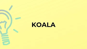 Che significato ha il koala?