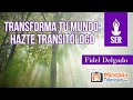 Transforma tu mundo: hazte transitólogo, por Fidel Delgado