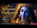 Adharam Madhuram | 30 Min Krishna Bhajan | Peaceful Meditation &amp; Divine Bliss 💙✨2026