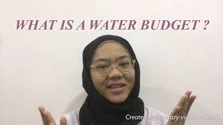 Uses of the Water Bugdet Equation in Engineering Hydrology