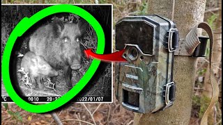 Affordable TRAIL CAMERA with good quality 👌 CEYORMUR CY55