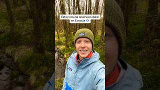 Some nature vocab for you in #Spanish 🦅🪨🌷🌿🍄🍂💦 #learnspanish #spanishvocabulary #español Why Colorful Language Is Key To Describing Nature In Spanish Poetry
