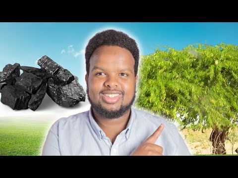 GEEDKA GARANWAAGA DOOLAR U BEDEL Baro Qaabka Loo Process Gareeyo 