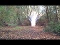 FireBird reactive targets! Airgun exploding targets