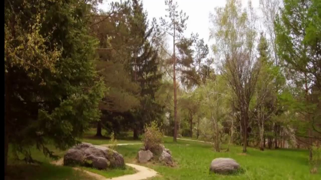 Курорт Шмаковка