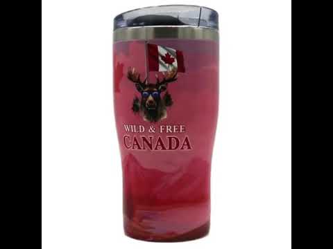 Wild and Free 580mL Tumbler