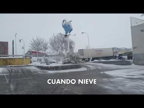 Elefante Azul Cadiz