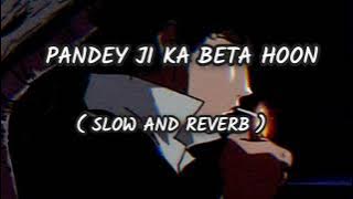 Pandey ji ka beta hoon bhojpuri song slow and reverb #bhojpuri #slowedandreverb