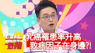 乳癌罹患率逐年升高，致病因子在身邊？！【醫師好辣】20200722 part3 EP984 賈蔚 江坤俊