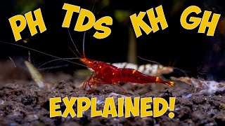 Shrimp Tank Water Chemistry Explained: pH, GH, KH, and TDS