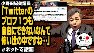 小野田紀美議員「Twitterのプロフ１つも自由にできないなんて怖い世の中ですね…」が話題