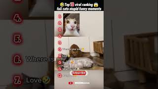 🤣Top 10 moments funniest cat you will laugh 🥰.#shorts