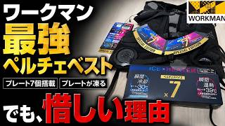 Workman] The Ultimate Peltier Vest That Freezes Over, and Why It