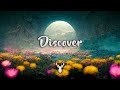 Discover | Chill Music Mix