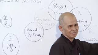 (15) 'What Happens When We Die?' | Clip from a Dharma talk by Thich Nhat Hanh, 2014 06 17, PV