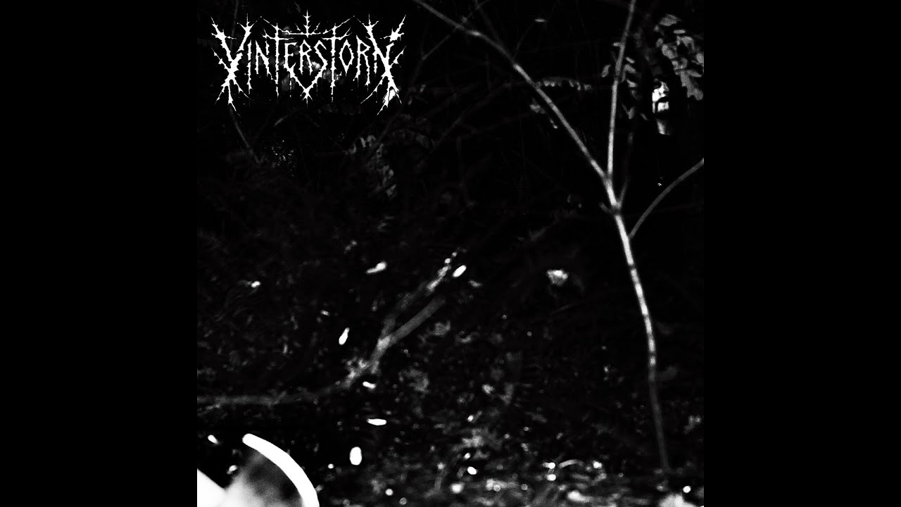 Vinterstorn - Vinterstorn (Cascadian Black Metal | Full Album 2025