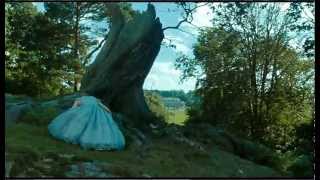 2010 Alice In Wonderland - Alice Falls Down The Rabbit Hole