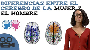 ¿En qué son mejores los cerebros femeninos?