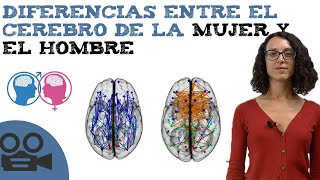 Diferencia entre el Cerebro de la mujer y el Cerebro del hombre
