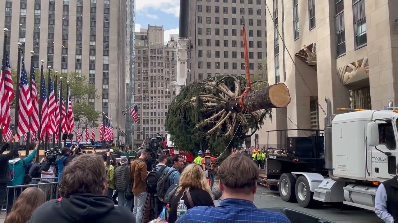 An 82-foot Christmas tree arrives at New York City's Rockefeller Center :  NPR