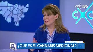 ¿Para qué sirve el cannabis medicinal? - Despierta Bogotá
