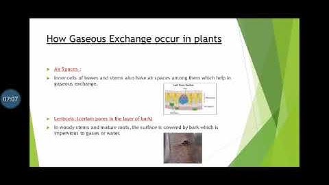APSACS Class 10 Biology Lecture # 1