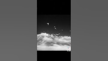 استمع للقرآن الكريم💗#roblox #mm2meme #رواف #