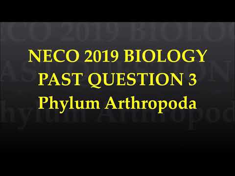 नेको बायोलॉजी 2019 मागील प्रश्न आणि उत्तरे 1 ते 60