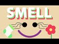 SMELL | Five Senses Song | Wormhole English - Songs For Kids