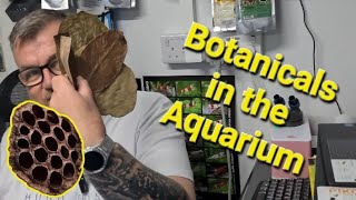 Botanical In The Aquarium!!!! screenshot 1