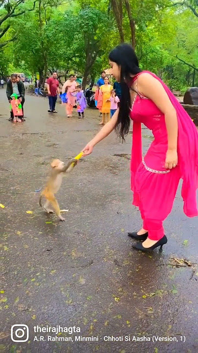 choti si aasha - A.R. Rahman🦋🦋😇 #youtubeshorts #reels #trending #viralshorts #viral  #love #suit