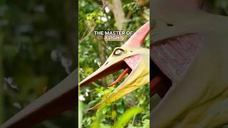 Pteranodon King of the Skies 🦅  Flying Reptile of the Cretaceous