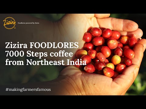 What is Northeast Coffee? | Zizira | 7000 Steps Coffee| March 2022 | Meghalaya coffee - video from Zizira