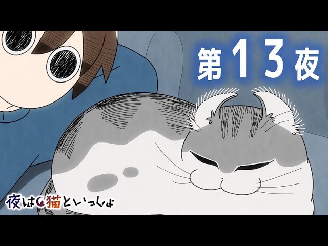 アニメ『夜は猫といっしょ』第13夜「ネコの耳裏返しがち」 - YouTube