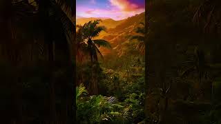 🌅 Beautiful House & Scenery | Big Trees, Colorful Flowers & Stunning Sunset View 🌸🏡