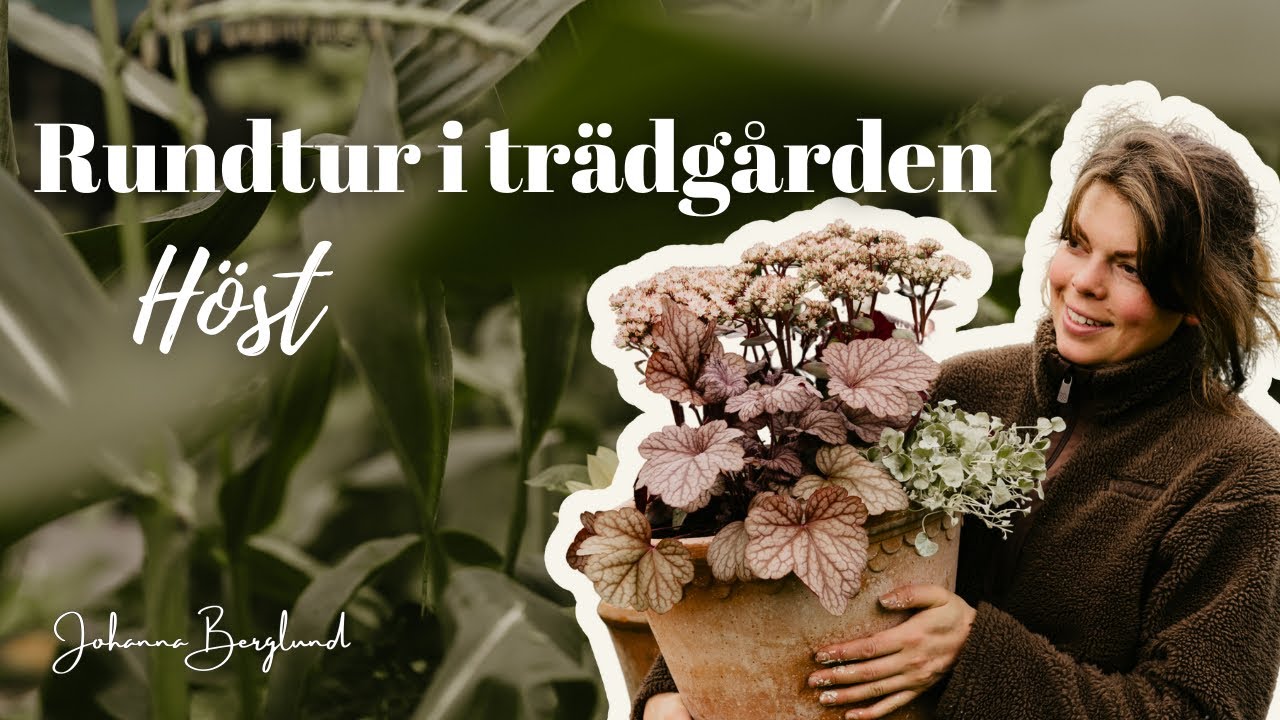 Rundtur i vår trädgård - höst 