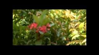 Lagu Indonesia Raya   Versi Kab  Bogor