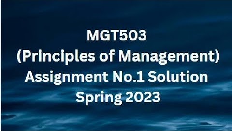MGT503 (Principles of Management) Assignment No.1 Solution Spring 2023