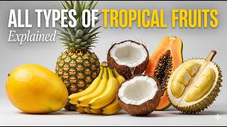 All Types of Tropical Fruits, Explained Every Tropical Fruit Explained