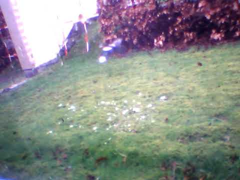 Eagle - YouTube
