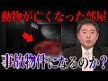 【事故物件】『見捨てられた地下室』動物が亡くなった部屋は事故物件になるのか？（オバケ調査）