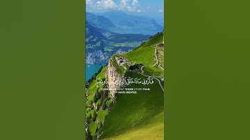 قرآن كريم آيات مريحة للقلب ياسر الدوسري هذا خلق الله راحة نفسية تلاوة خاشعة #صلوا_على_النبي #اكسبلور